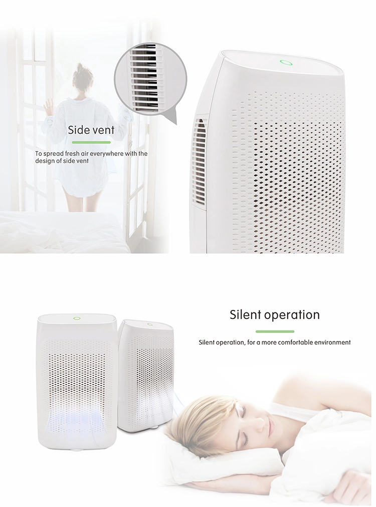 New Model Big Capacity Smart Portable Easy New Commercial Mini Air Dehumidifier