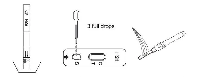 Singclean Quick Profile Early Result Urine Fsh Test Kit for Early Puberty