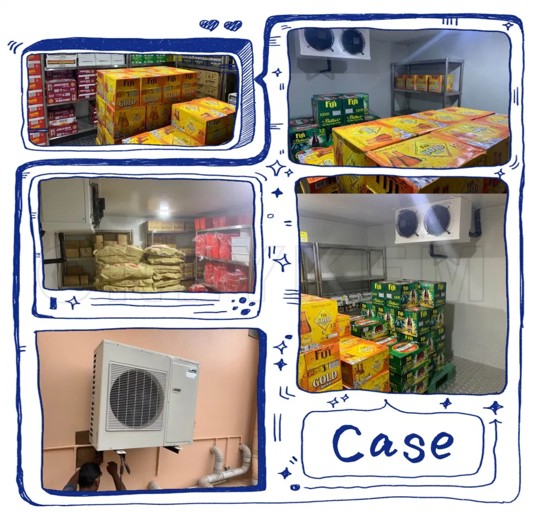Industrial Walk in Refrigeration Chamber/ Fridge Freezer/ Cold Storage Room Price