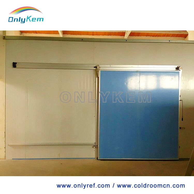 Refrigeration Unit Freezing Rooms for Frozen Meat for Fruits with Ce