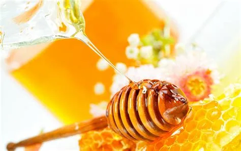 Low Temperature Heating Vacuum Dehumidifier for Honey