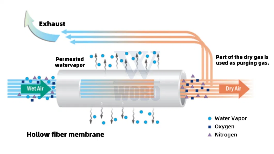 Noise-Free Air Drying Membrane Module 99% Purity Dehumidification Membrane Dryer