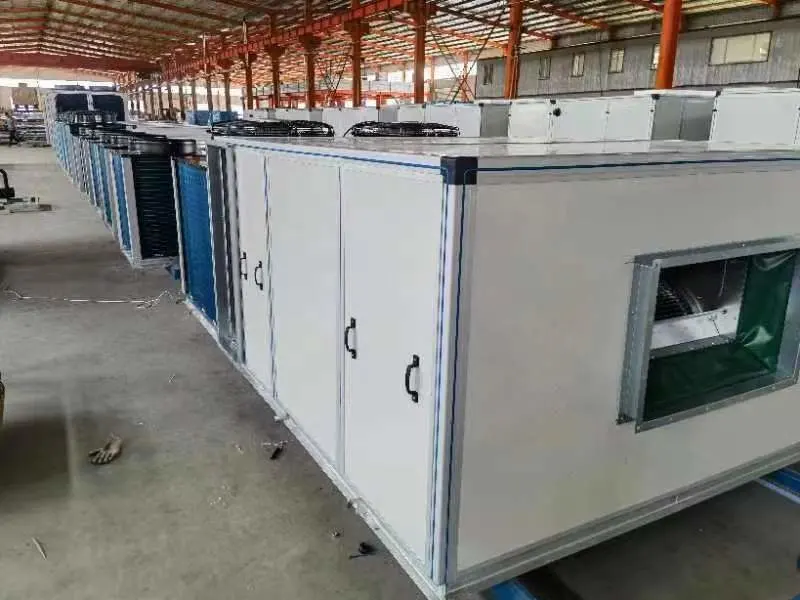 Widely Used Aircon Filter Cabinet Dehumidifier Carrier Air Handling Unit Catalog Rooftop Package Unit