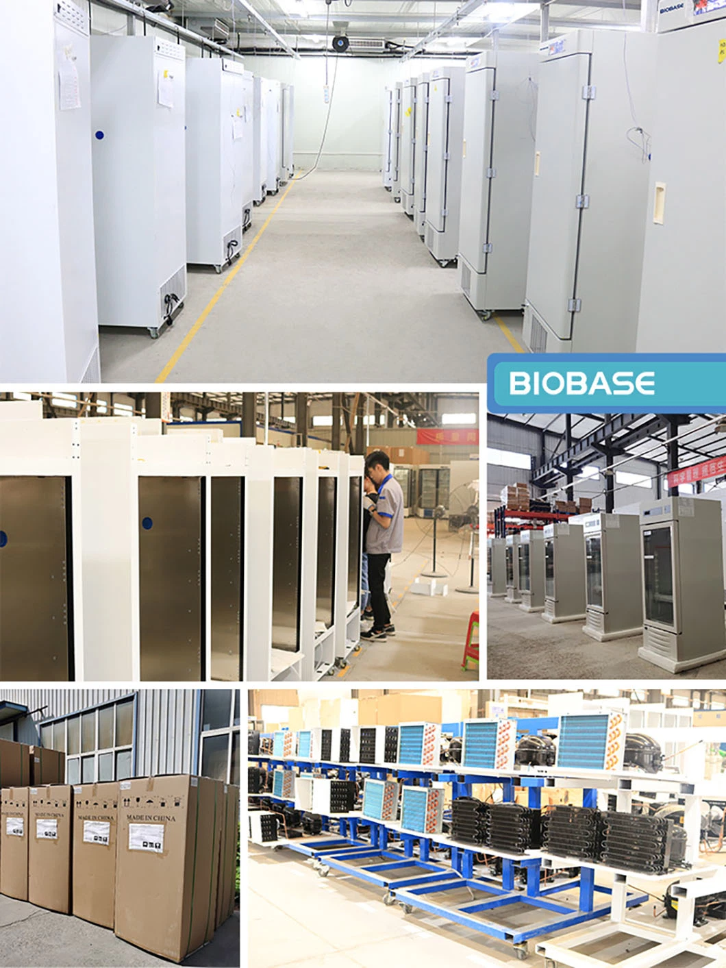 Biobase Low Temperature Available Efficient Automatic Commercial Air Dehumidifier