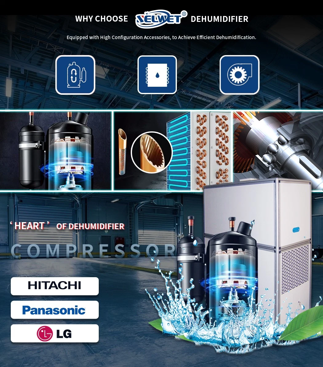 High Energy Saving Hitachi Japan Brand Compressor Efficient Laboratory Air Dehumidifier