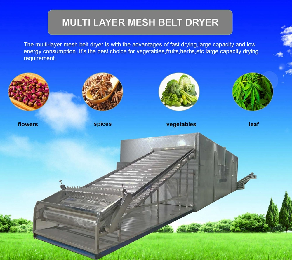 Full Stainless Steel Heat Pump Conveyor Jasmine Rose Flower Herbs Drying Machine Hot Air Vegetable Dehumidifier Equipment Alfalfa Grass Leaf Pepper Belt Dryer