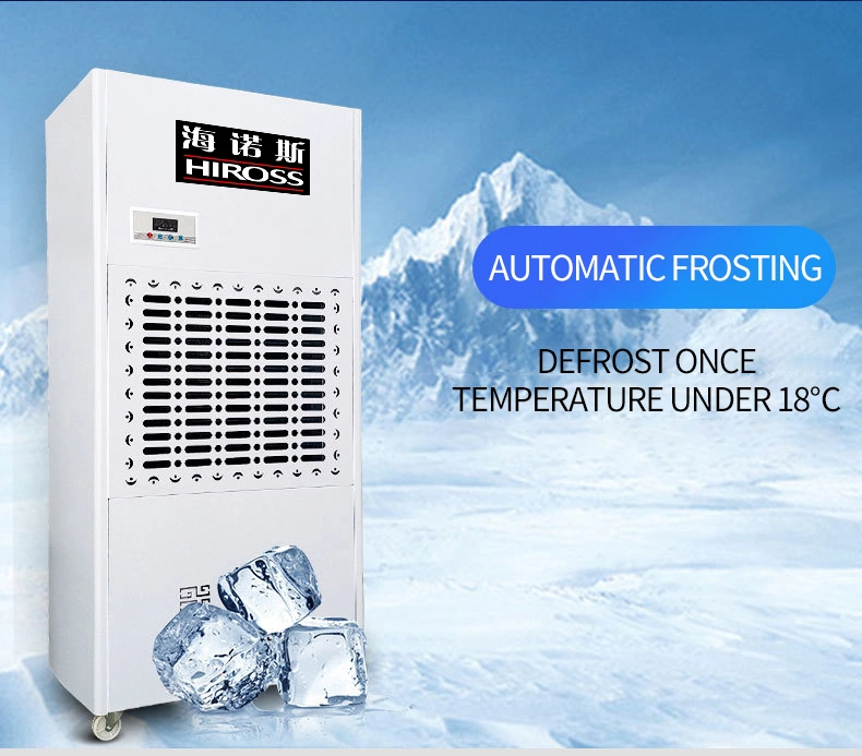 Hiross Factory Price Industrial Dehumidifier Portable Dehumidfier for The Textile Warehouse