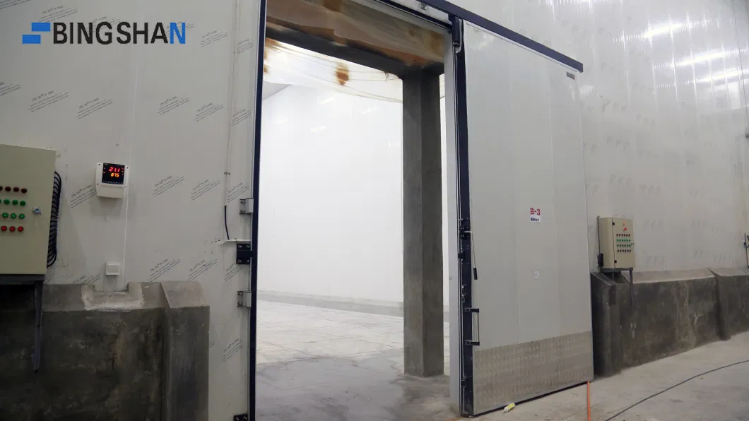 Cold Room Meat Refrigerator Storage and Prefabricated Cold Rooms