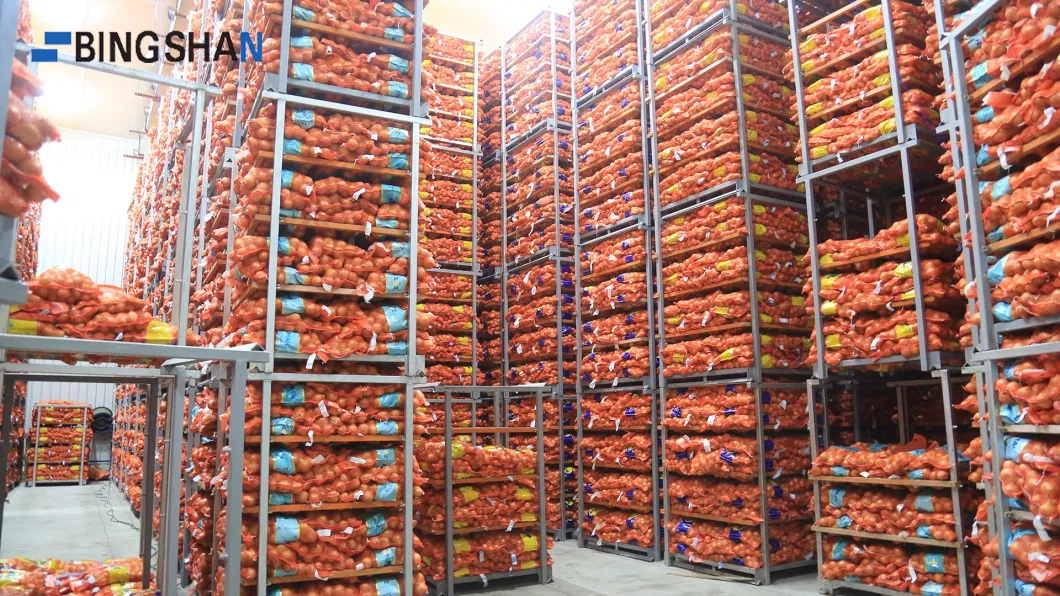 Cold Storage Room for Root Crops, Cole Crops, Winter Squash, Onions and Garlic