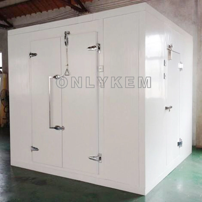 Refrigeration Unit Freezing Rooms for Frozen Meat for Fruits with Ce