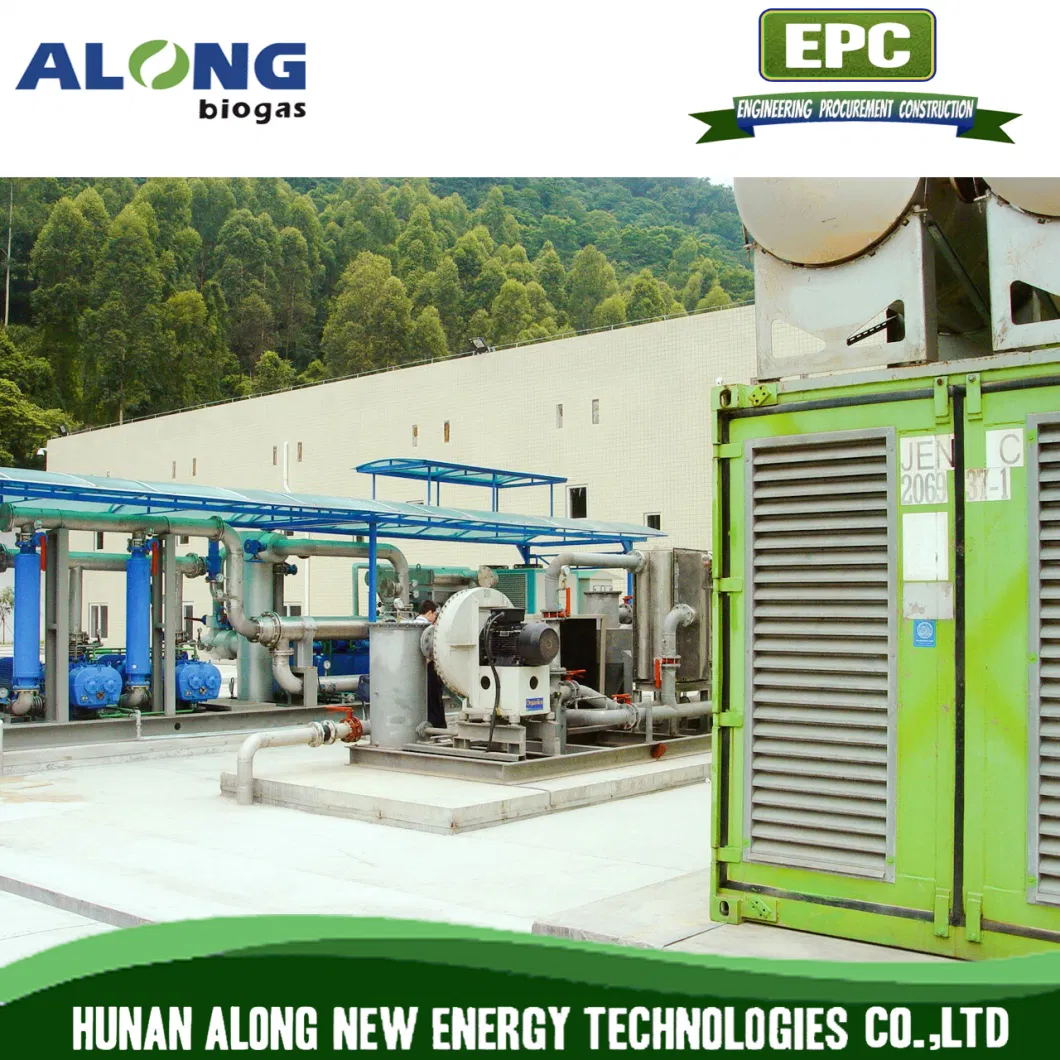 Skid-Mounted Biogas Landfill Gas Dehumidification Dehumidifier/Purification/Desulfurization System