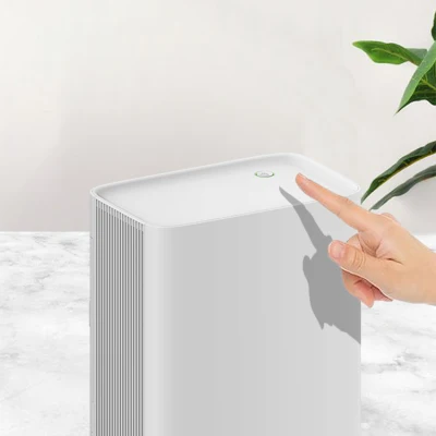  Sostanza igroscopica elettrica piccola, filtro aria portatile AC 100 V RoHS Deumidificatore