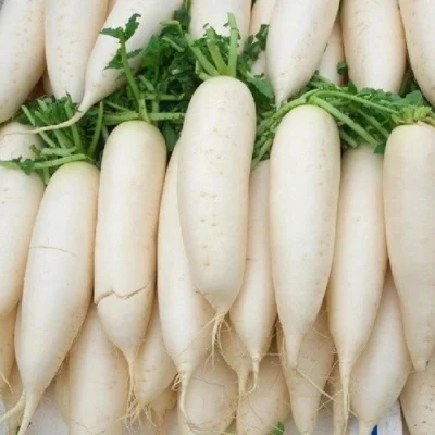 Verdure macchina asciugatrice di ravanelli Camera pompa di calore ad aria calda