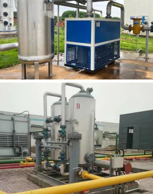  Impianto di raffreddamento del sistema di raffreddamento del sistema di deumidificazione del biogas da 1500 m3