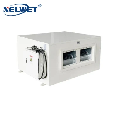  Dry Air Small Compact Design montaggio a soffitto canotto Commercial Greenhouse Deumidificatore