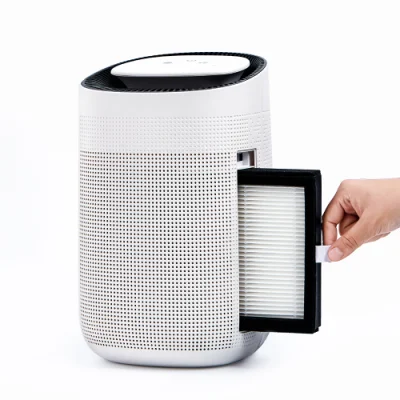  Purificatore d&prime;aria Guangdong 1000ml deumidificatori domestici portatili 220V per Casa