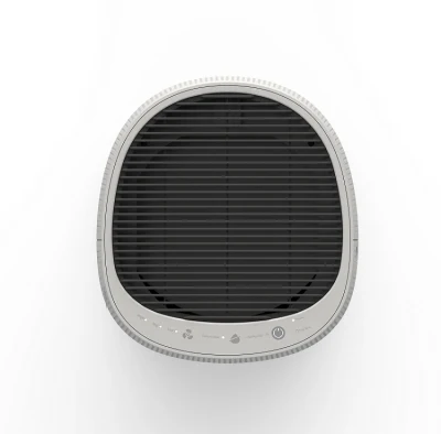 Deumidificatore dell&prime;aria portatile Easy Home Mini Luftentfeuchter Peltier con Purificatore d&prime;aria