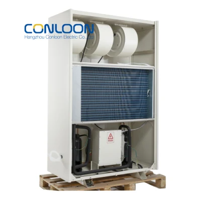  Cina Produttore Conloon 360L al giorno umidificatore industriale assorbimento umidità Per frutta asciugatrice attrezzatura piscina