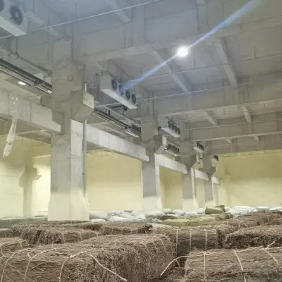  Cabina nel vano congelatore per frigorifero a refrigerazione a conservazione a freddo