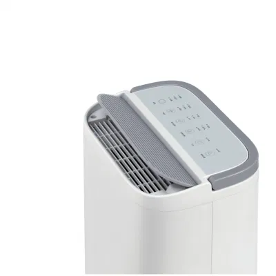 Nuovo deumidificatore a ruota a desumidificador ad essiccante per Casa