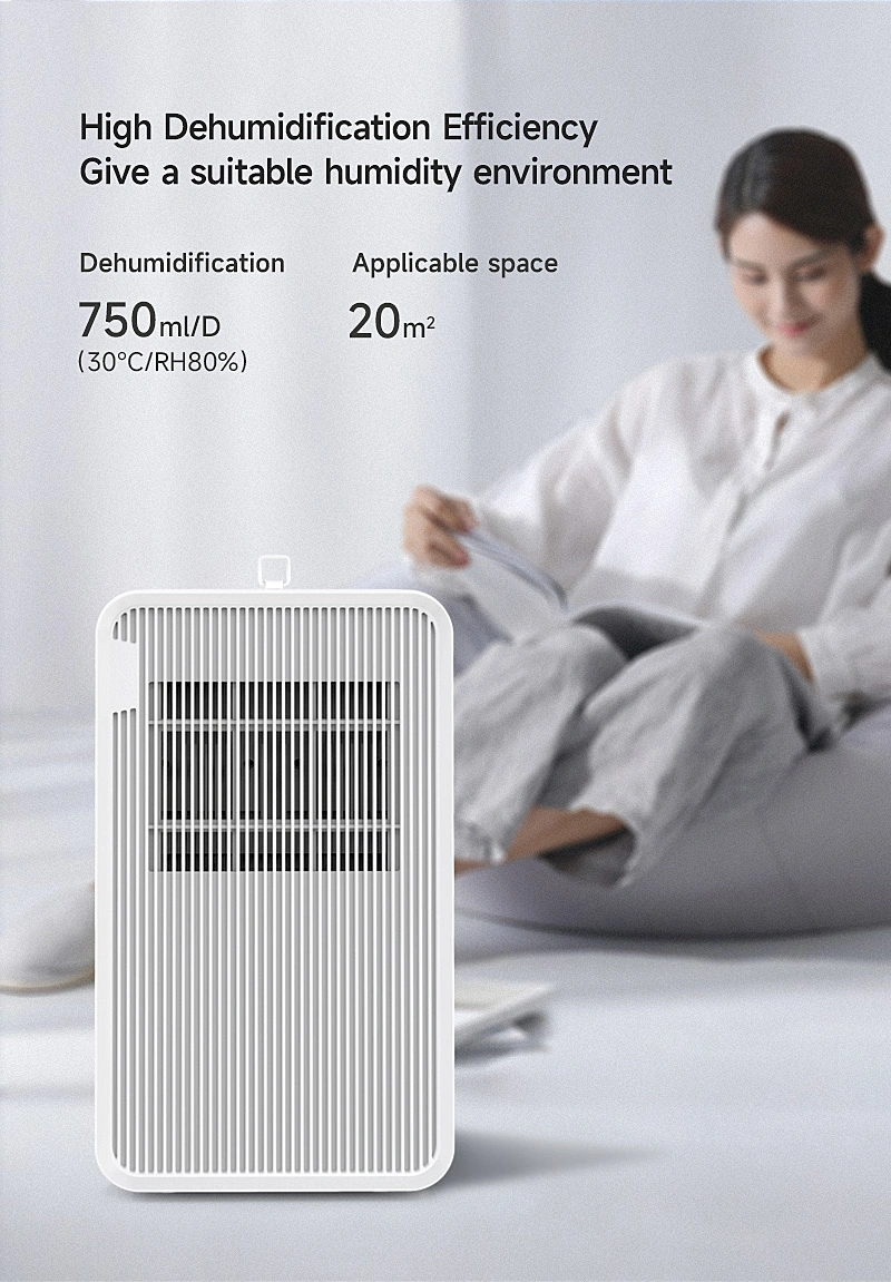 Modern Design Manufacturers Price Intelligent Whole House 2 Liter Dehumidifier