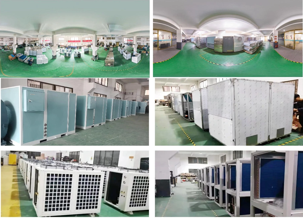 Fruits Vegetables Apricot Dehumidifying Dehydrator Machinery Air Source Heat Pump Drying Machine Multi-Layer Mesh Belt Dryer