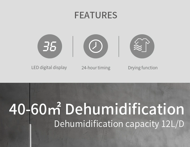 Hot Selling 10L Capacity Compressor Dehumidification Technology Air Dehumidifier