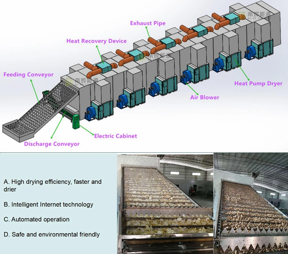 Heat Pump Crops Drying Machine, Continuous Conveyor Belt Dryer