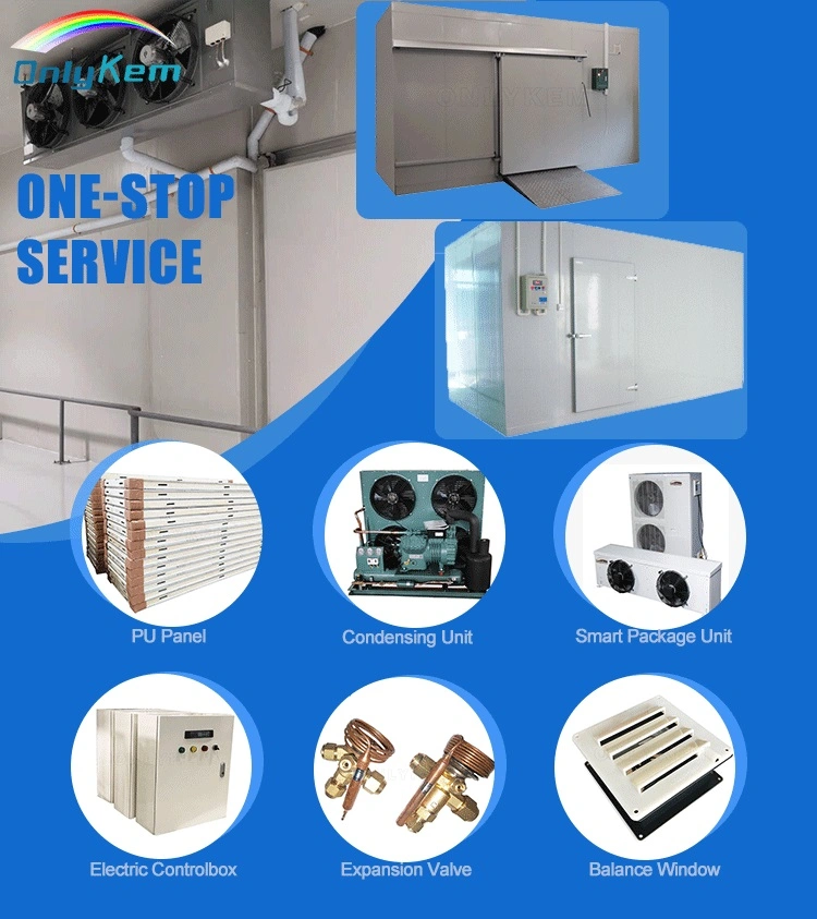 Cold Rooms for Sale Cold Room Price Frozen Lobster with Condensing Unit CE Approved