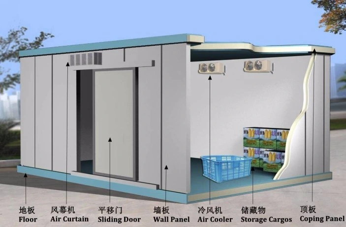 10 Years Warranty Cold Storage Room for Fruits Vegetables Meat Fishes
