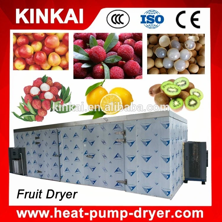 Star Fruit Heat Pump Dehumidifier Dryer