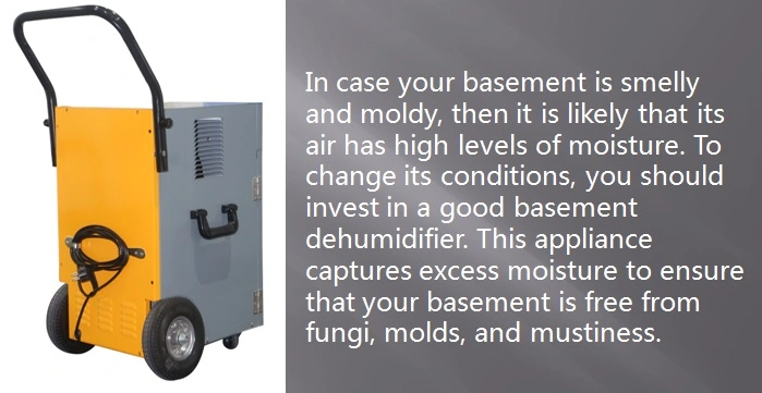 Best Basement Dehumidifier in Basement System Reviews