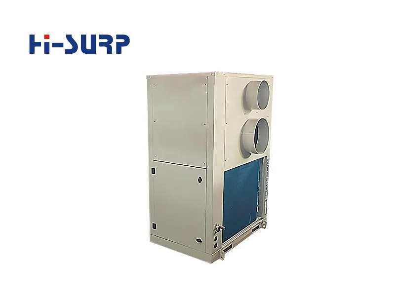 OEM, ODM Grain AC Hi-Surp Fully Enclosed Export Packing Air Handling Unit HVAC System