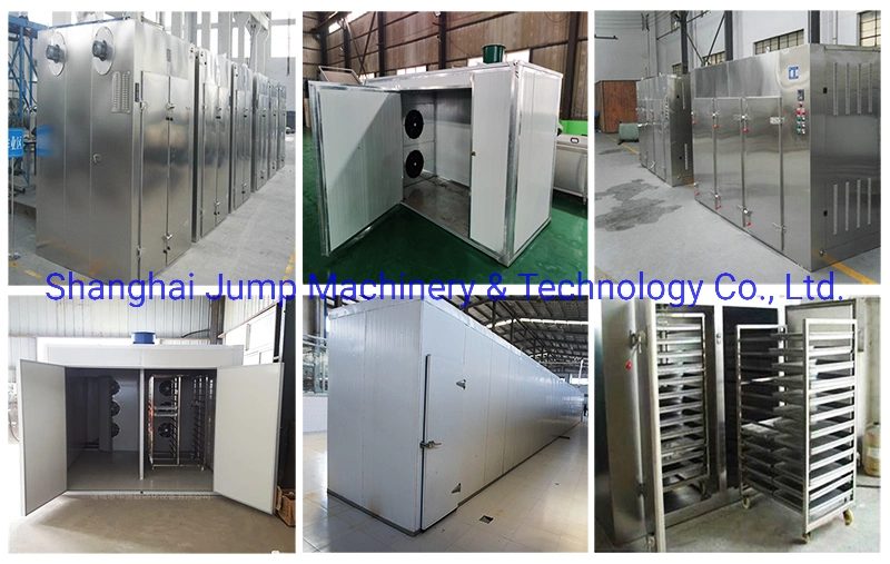 Fruit Dryer Mango Pineapple Clean Air Circulation Drying Machine