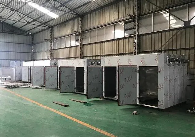 Large Capacity Fruit Drying Machine