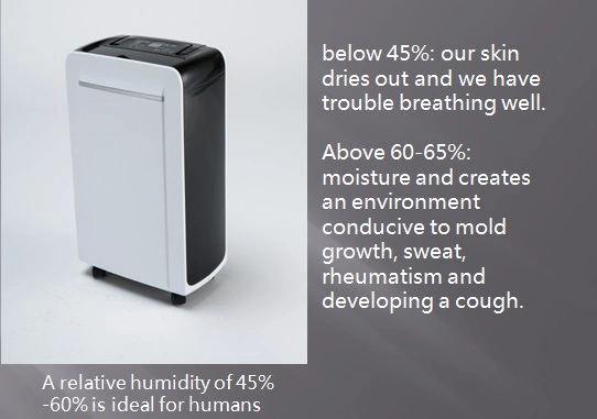 Humidity Control Device What Size Dehumidifier for Basement Hot Air Drying System