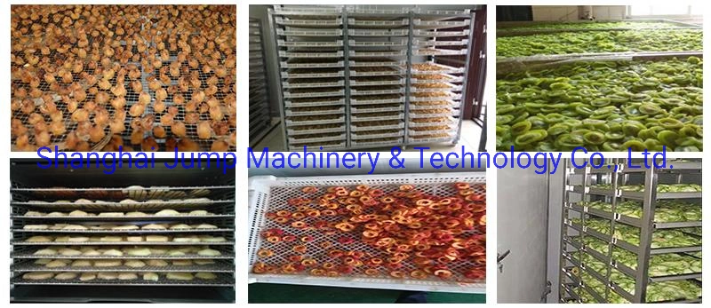 Hot Air Circulation Drying Cabinets Tray Dryer for Fruit Slice