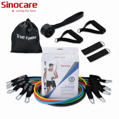 Sincoare 11 PCS Resistance Bands Wholesale 11PCS Custom Pull up Exercise Private Label Resistance Bands
