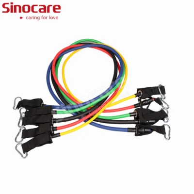 Sincoare 11 PCS Resistance Bands Wholesale 11PCS Custom Pull up Exercise Private Label Resistance Bands