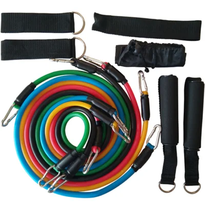 Spine Door Anchor Pull up Tube Sport Resistance Band with Handle