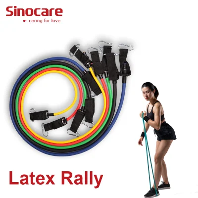 Sincoare 11 PCS Resistance Bands Wholesale 11PCS Custom Pull up Exercise Private Label Resistance Bands