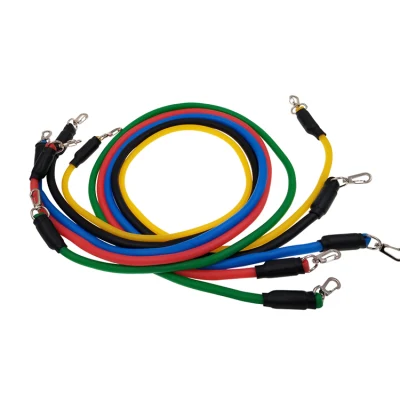 Spine Door Anchor Pull up Tube Sport Resistance Band with Handle