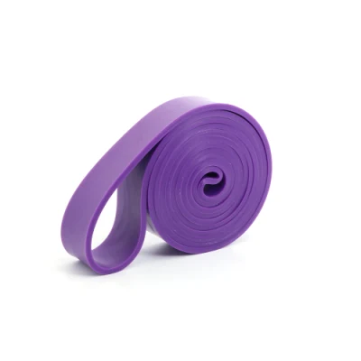 Custom Logo Bands Widerstandsbänder Set Custom Elastic Übung Lang Workout Gym Pull-up-Bands