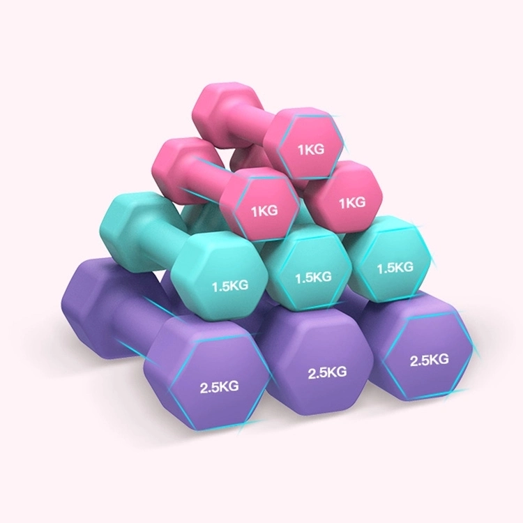 Cheap Wholesale Home Fitness Yoga 0.5kg 1kg 2 Kg 3kg Rubber Dumbbell for Women