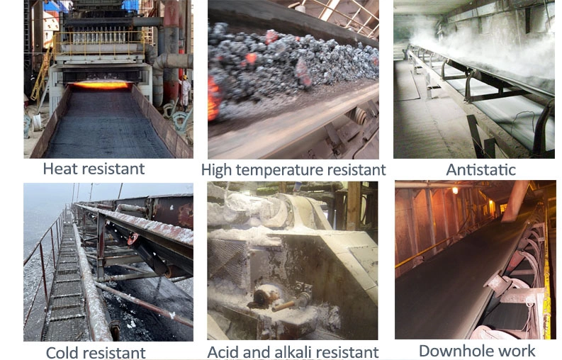 Heavy Duty Carbon Steel Belt Conveyor System for Cement, Port, Power Plant Industries