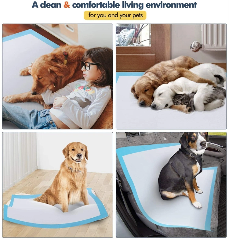 Manufacturer Sample Free Disposable Dog PEE Pads Disposable Pet Puppy Training Sanitary Pad Hygienic Mat