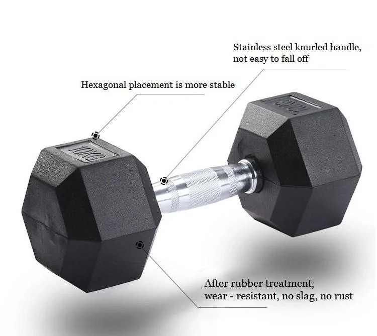 Wholesale Power Training Hex Weight Lifting Rubber Coated Power Training Sport Lifting Gym Dumbbell Set