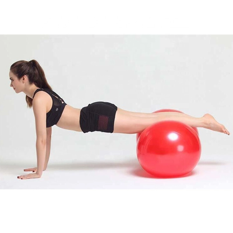 Fitness and Physical Therapy Balance Ball