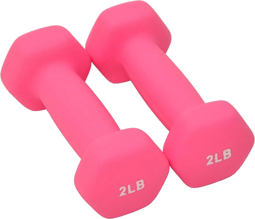 Hot Sale Dumbbells Hand Weight Set Barbell Exercise Fitness Dumb Bell Free Weight Dumbbell