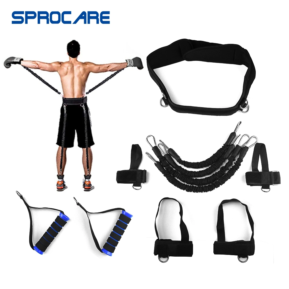 Latex Resistance Bands Set, Exercise Bands, Workout Bands, Fitness Tube with Handles for Men, Weights for Women at Home, Strength Training Equipment